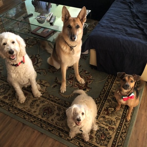 Fundraising Page: Carolyn Skog